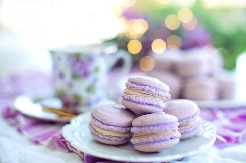 Macarons délicats dressés sur une assiette